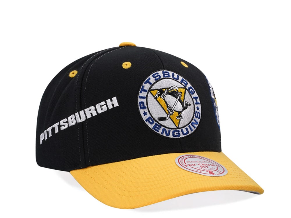 Pittsburgh penguins new era hat online