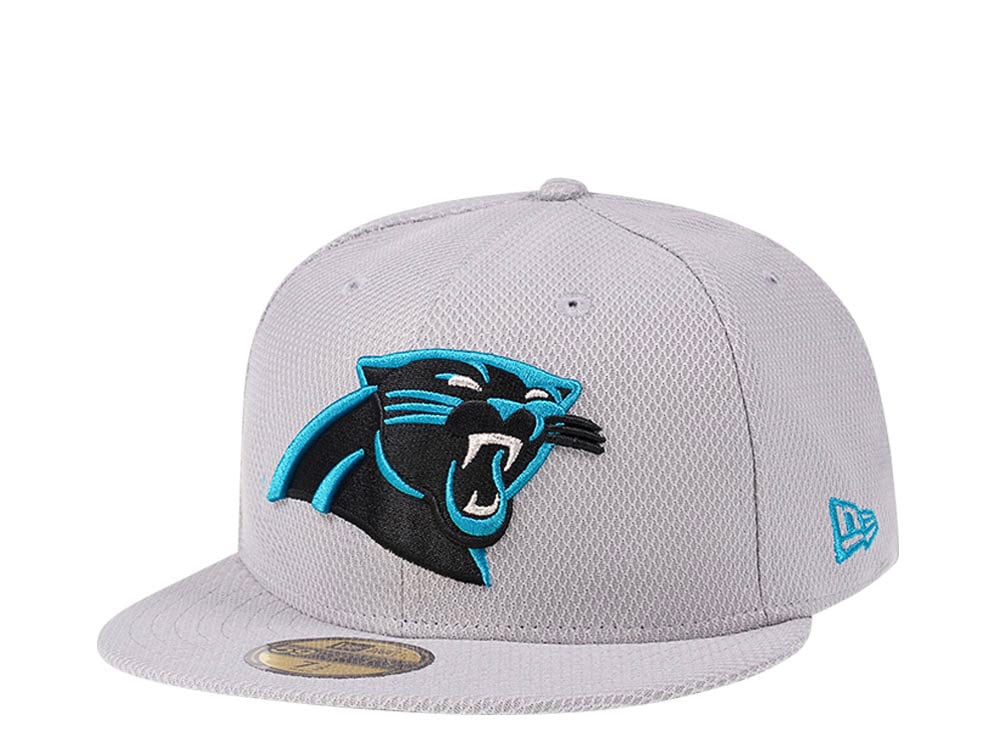 Carolina panthers baseball cap on sale